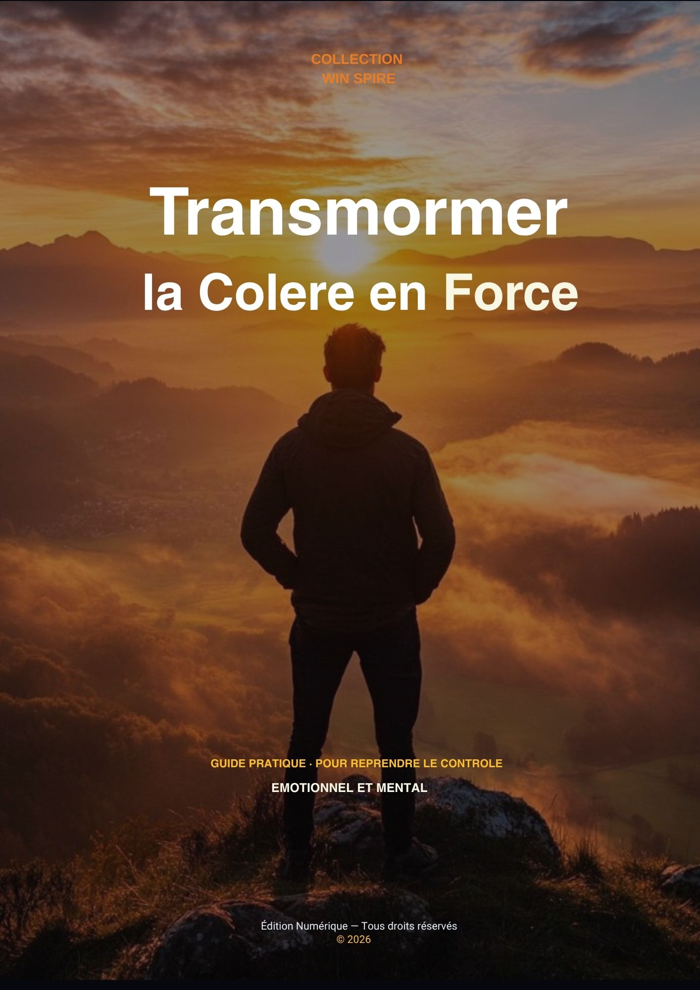 Couverture Transformer la colere en force