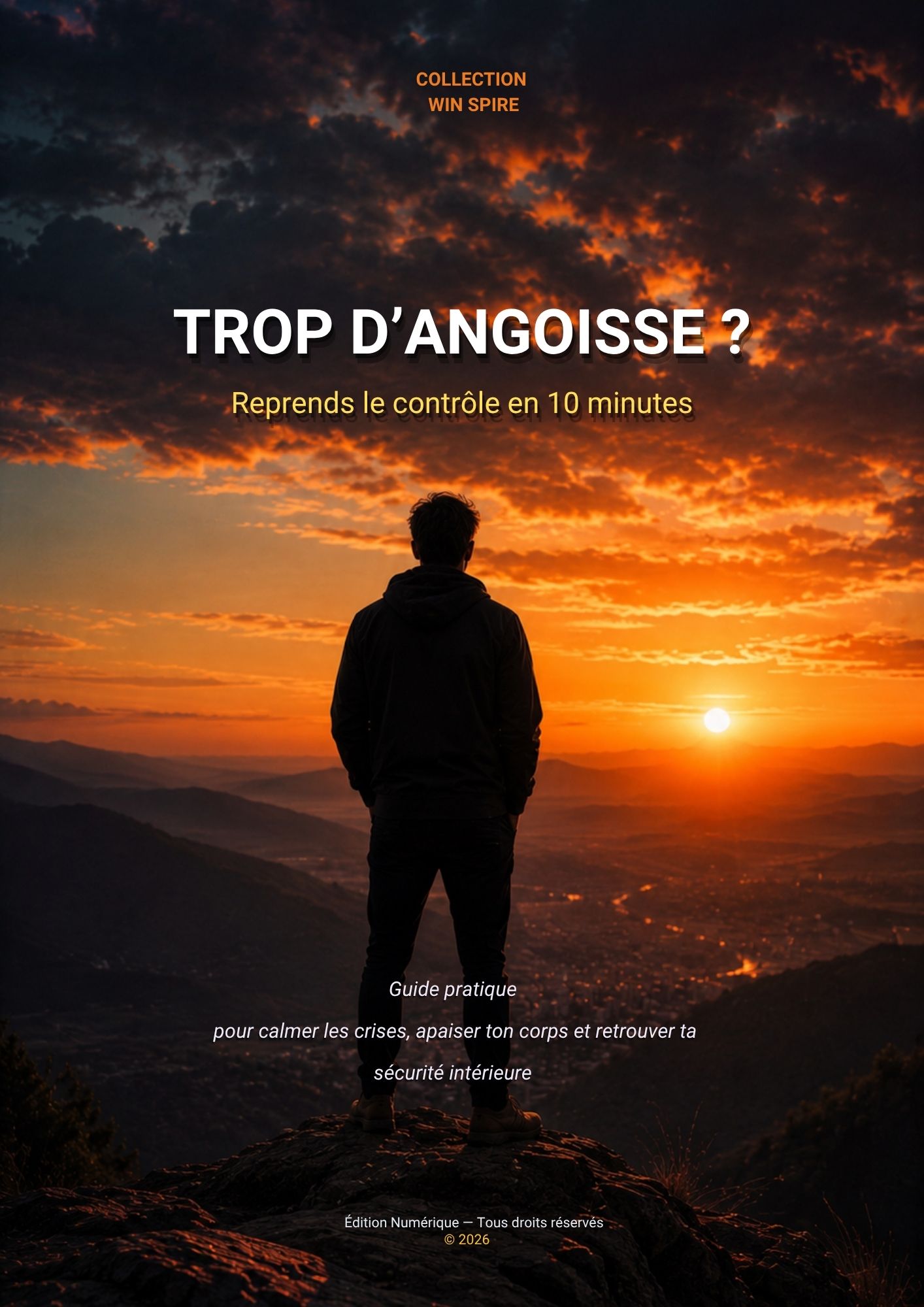 Couverture Trop d'angoisse